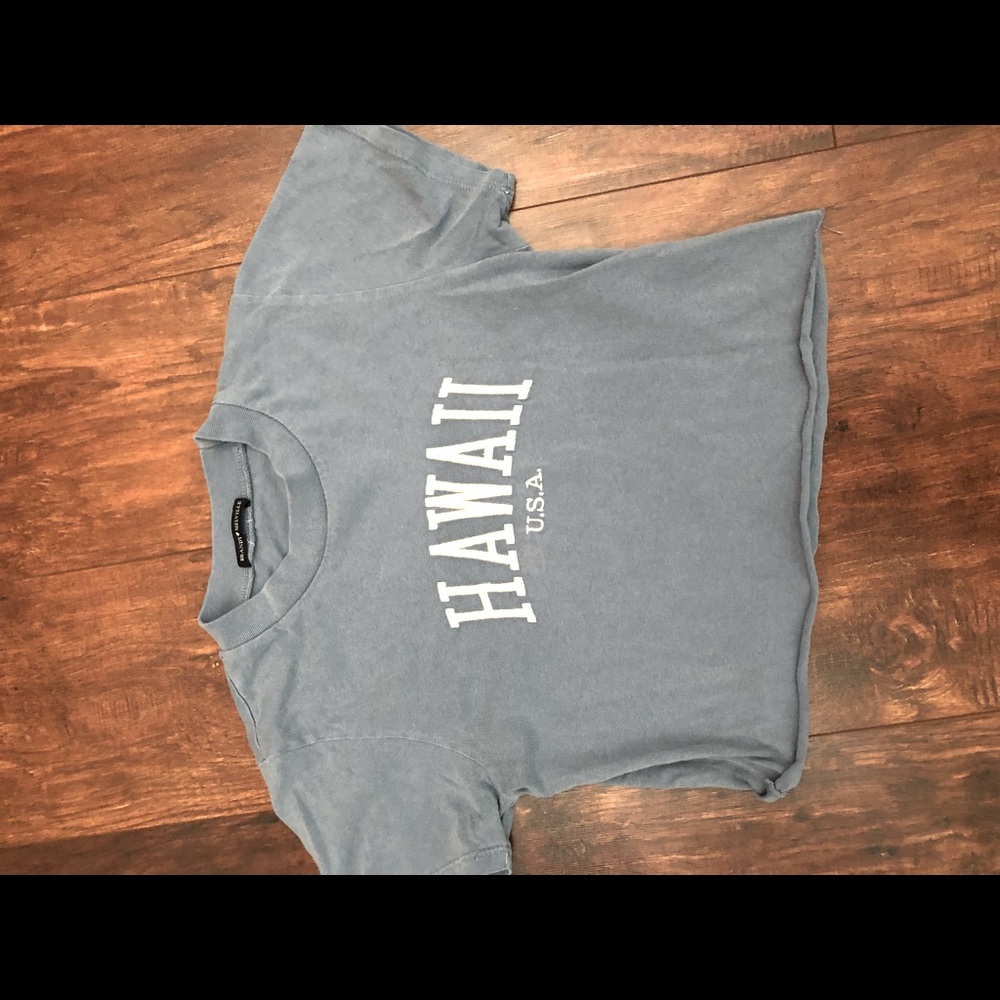 Brandy Melville Hawaii cropped tee